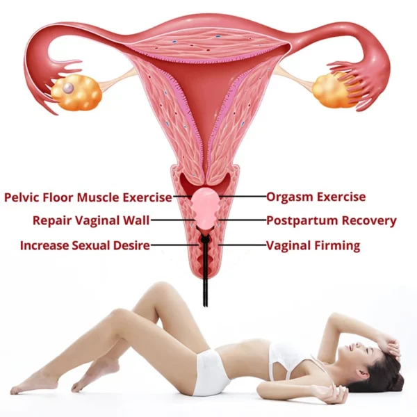 3PC Jade Stone Yoni Egg Set Natural Rose Quartz Vaginal Massage Eggs Ball Repair Vaginal Tightening Kegel Muscle Exercise Care - Image 24