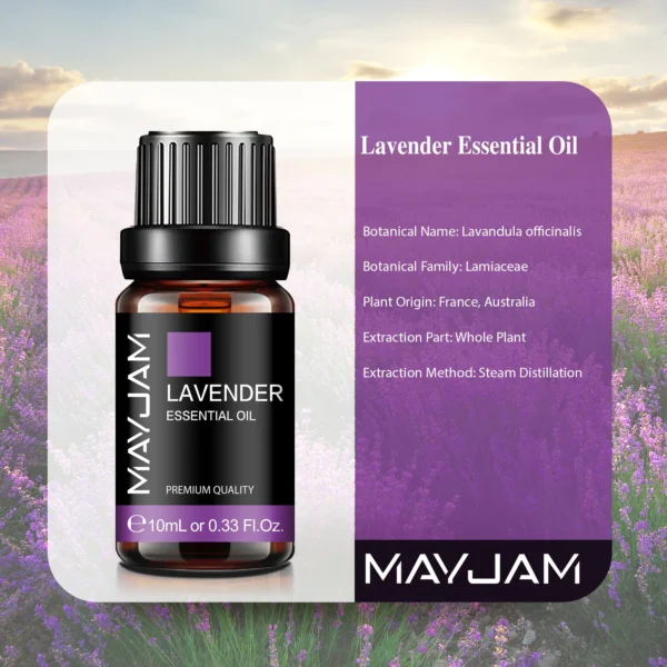 MAYJAM 10ML Essential Oil Lavender Jasmine Eucalyptus Vanilla Sandalwood Bergamot Rosemary Citronella Cinnamon Fragrance Oil - Image 40